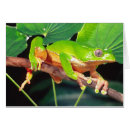 Pesquisar por suriname cartoes postais Colorido