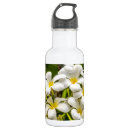 Pesquisar por exoticas garrafa agua Tropical