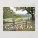 Pesquisar por british cartoes postais Canada