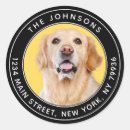 Pesquisar por cão preto e branco adesivos Minimalista