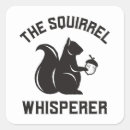 Pesquisar por squirrel adesivos Fofofo