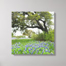 Pesquisar por flores azuis impressão de canvas Primavera