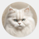 Pesquisar por gato felino adesivos Animal