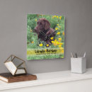 Pesquisar por laboratório relogios de parede Animais de estimação