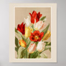 Pesquisar por tulipas brancas pôsteres pósteres Botânica