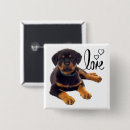 Pesquisar por rottweiler acessorios Rottwieler
