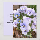 Pesquisar por pansies pastel Para ela