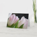 Pesquisar por cumprimento da tulipa Tulipas