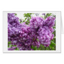 Pesquisar por árvore roxa cartoes Árvores