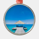 Pesquisar por paraíso ornamentos Praia