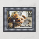 Pesquisar por yorkies cartoes postais Yorkshire
