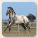 Pesquisar por cavalo appaloosa porta copos Funcionamento
