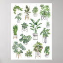 Pesquisar por planta potted Qualquer pessoa