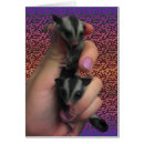 Pesquisar por esperando o dos gêmeos cartoes Gravidez