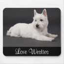 Pesquisar por westies eletronicos Terrier