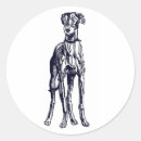 Pesquisar por whippet adesivos Greyhound