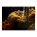 Pesquisar por cumprimento vazio Gatinho