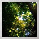 Pesquisar por ambientais pósteres Fotografia