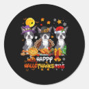 Pesquisar por happy dog adesivos Feliz natal