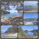 Pesquisar por vinil adesivos Colagem