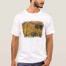 Pesquisar por cactos camisetas Sudoeste