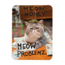 Pesquisar por fluffy cat imas Adorável