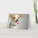 Pesquisar por doggy cartoes postais Cute