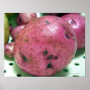 Pesquisar por potato pôsteres pósteres Food