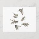 Pesquisar por a lápis desenhos cartoes postais Natureza