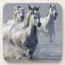 Pesquisar por imagens do cavalo porta copos Oeste selvagem