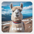 Pesquisar por perus adesivos Animais