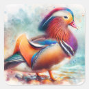 Pesquisar por patos coloridos adesivos Aves aquáticas