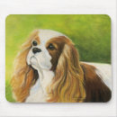 Pesquisar por rei dos ratos eletronicos Spaniel