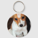 Pesquisar por jack russell terrier chaveiros Canino