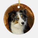 Pesquisar por border collie ornamentos Pastor
