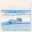 Pesquisar por urso polar e neve porta copos Gelo