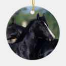 Pesquisar por riscas ornamentos Foto