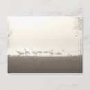 Pesquisar por siberia cartoes postais Natureza