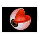 Pesquisar por olhos humanos cartoes postais Processos ciliares