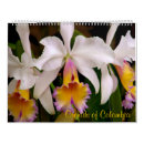 Pesquisar por orquídea calendarios Flores tropicais
