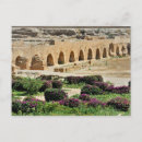 Pesquisar por punic Natureza