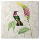 Pesquisar por colibri Floral
