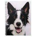 Pesquisar por border collie cadernos de notas Foto
