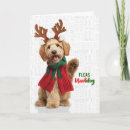 Pesquisar por goldendoodle cartoes Cães