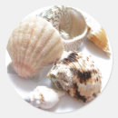 Pesquisar por escudo adesivos Mar