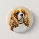 Pesquisar por king botons Cavalier king charles spaniel