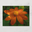 Pesquisar por jardim mexicano cartoes postais Para todos