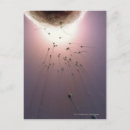 Pesquisar por esperma cartoes postais Ovo