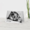 Pesquisar por pet care cartoes Para todos