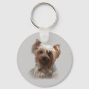 Pesquisar por yorkshire terrier acessorios Filhote de cachorro